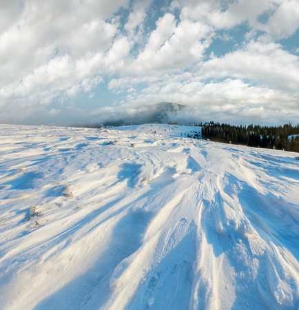 Morning winter mountain range view with clouds and fir trees on slope (Carpathian).の写真素材