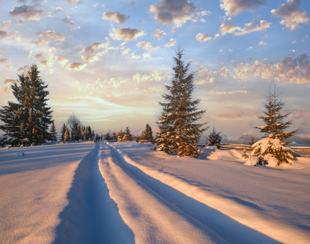 Winter snowy hills, tracks on rural dirt road and trees in last evening sunset sun light. Small and quiet alpine village outskirts.の写真素材