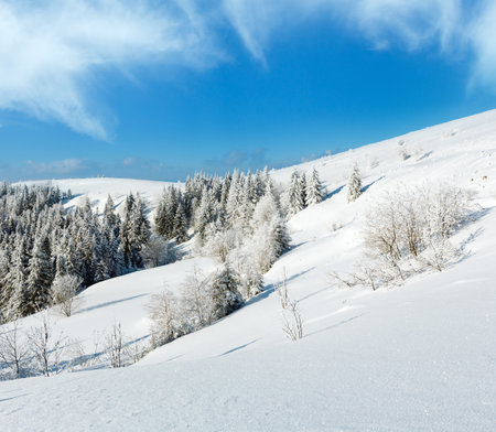 Winter calm mountain landscape with beautiful frosting trees and snowdrifts on slope (Carpathian Mountains, Ukraine)の写真素材