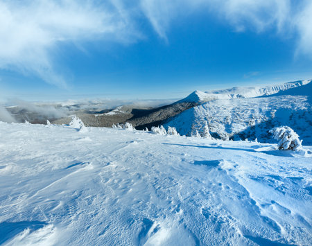 Winter mountain landscape with snowy trees on slopeの写真素材