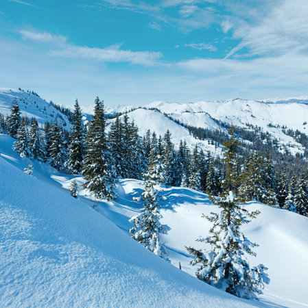 Winter mountain landscape with snowy spruce trees on slope(Hochkoenig region, Austria)の写真素材