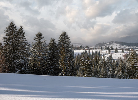 Winter remote alpine mountain village outskirts, countryside hills, groves and farmlands.の写真素材