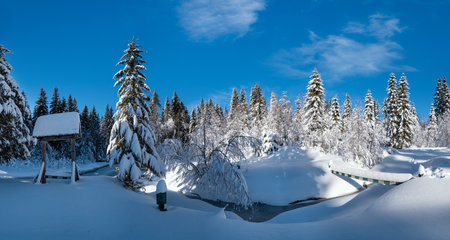 Alpine mountain snowy winter fir forest with snowdrifts and frozen small streamの写真素材