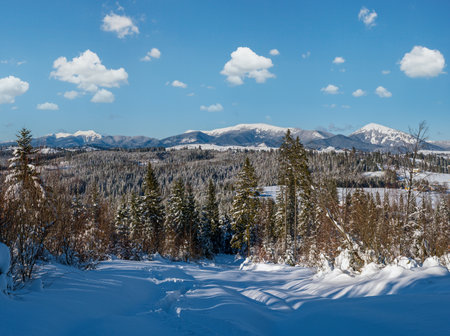 Winter remote alpine village outskirts, countryside hills, groves and farmlands view from mountain slopeの写真素材