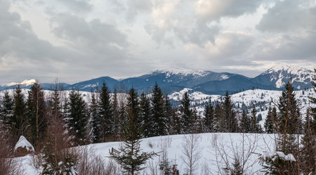 Small alpine village and winter snowy mountains in last sunset sunlight around, Voronenko, Carpathian, Ukraine.の写真素材