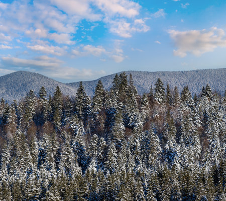 Winter alpine hills with fir and pine forest view from mountain village. Picturesque traveling, hiking, seasonal, nature and countryside beauty concept background scene.の写真素材