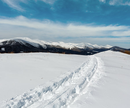Sledge trace and footprints on winter mountain hill top and snow covered picturesque alp Chornohora ridge (Ukraine, Carpathian Mountains, tranquility peaceful view from Dzembronya village outskirts).の写真素材