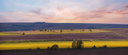 Spring countryside view with rapeseed yellow blooming fields, groves, hills. Ukraine, Lviv Region.の写真素材