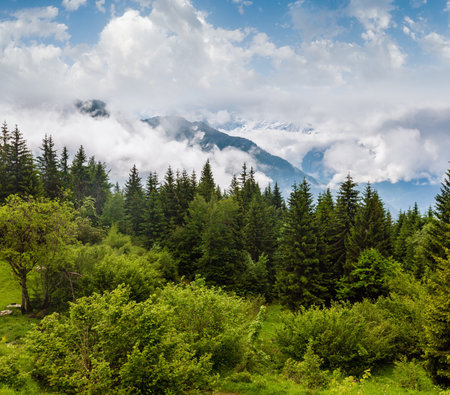 Mont Blanc mountain massif (Chamonix valley, France, view from Plaine Joux outskirts).の写真素材