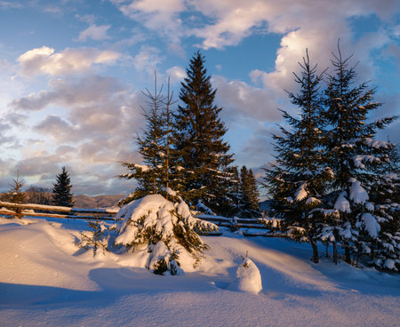 Alpine village outskirts in last evening sunset sun light. Winter snowy hills and fir trees.の写真素材