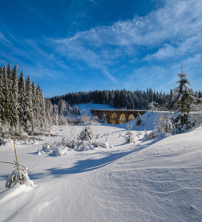 Stone viaduct (arch bridge) on railway through mountain snowy fir forest. Snow drifts  on wayside and hoarfrost on trees and electric line wires.の写真素材