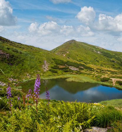 Summer Nesamovyte lake landscape, Chornohora ridge, Carpathian mountains, Ukraine.の写真素材