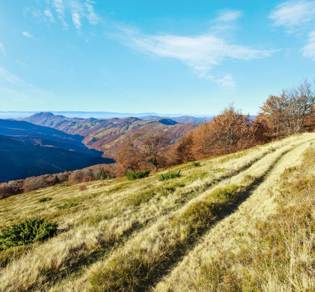 Rural road in autumn mountain and colorful trees on slopes.の写真素材