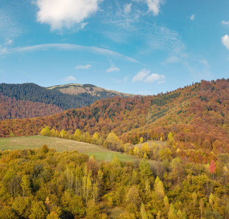 Autumn morning Carpathian Mountains calm picturesque scene, Ukraine. Peaceful traveling, seasonal, nature and countryside beauty concept scene.の写真素材