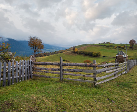 Cloudy and foggy morning autumn meadow scene. Peaceful picturesque traveling, seasonal, nature and countryside beauty concept scene. Carpathian Mountains, Ukraine.の写真素材
