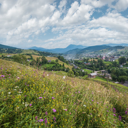 Picturesque summer Carpathian mountain countryside meadows. Abundance of vegetation and beautiful wild flowers.の写真素材