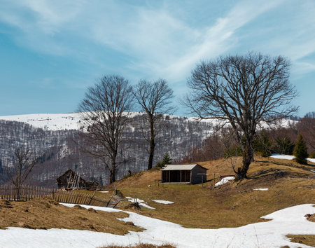 Early spring Carpathian mountains plateau landscape with snow-covered ridge tops in far, Ukraine.の写真素材