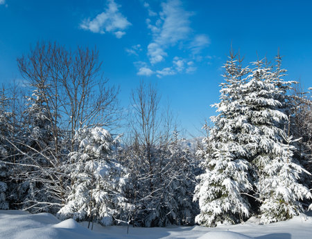 Winter picturesque  mountains scenery view from Yablunytsia pass, Carpathians, Ukraine.の写真素材