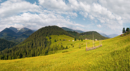 Summer mountain blossoming green meadow with farmhouse (Carpathian, Ukraine)の写真素材
