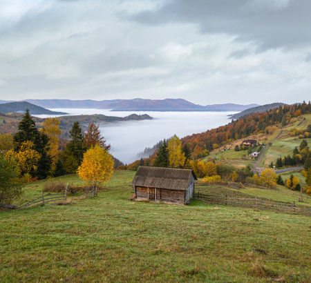 Foggy early morning autumn mountains scene. Peaceful picturesque traveling, seasonal, nature and countryside beauty concept scene. Carpathian Mountains, Ukraine.の写真素材