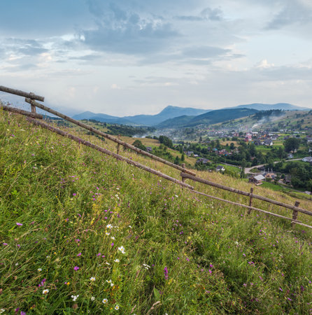 Picturesque summer Carpathian mountain countryside meadows. Abundance of vegetation and beautiful wild flowers.の写真素材