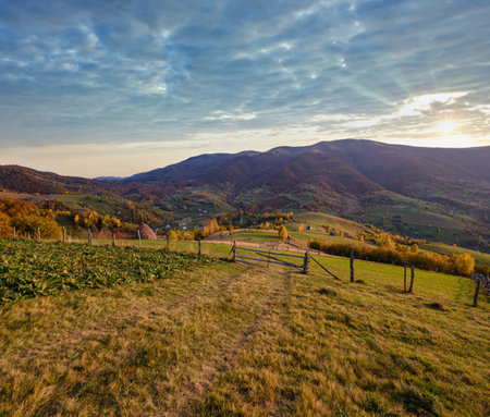 Autumn morning Carpathian Mountains calm picturesque scene, Ukraine. Peaceful traveling, seasonal, nature and countryside beauty concept scene.の写真素材