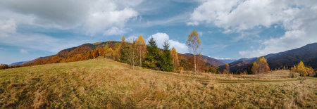 Autumn morning Carpathian Mountains calm picturesque scene, Ukraine. Peaceful traveling, seasonal, nature and countryside beauty concept scene.の写真素材