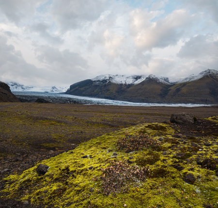 Iceland autumn tundra landscape near Haoldukvisl glacier, Iceland. Glacier tongue slides from the Vatnajokull icecap or Vatna Glacier near subglacial Esjufjoll volcano. Not far from Iceland Ring Road.の写真素材