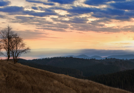 Picturesque pre sunrise morning above late autumn mountain countryside. Ukraine, Carpathian...