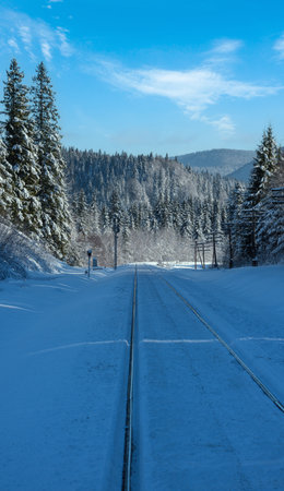 Railway through snowy fir forest and remote alpine helmet in Carpathian mountains, snow drifts  on waysideの写真素材