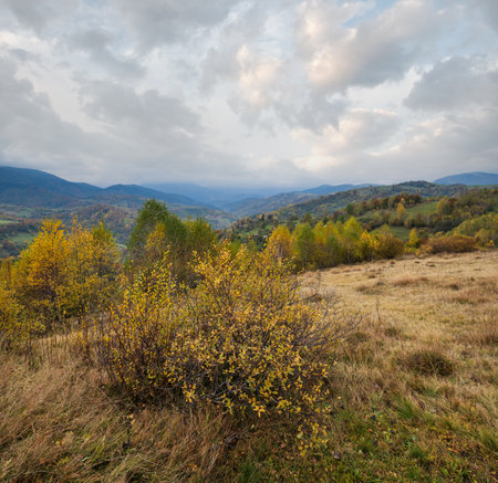 Cloudy and foggy morning autumn meadow scene. Peaceful picturesque traveling, seasonal, nature and countryside beauty concept scene. Carpathian Mountains, Ukraine.の写真素材
