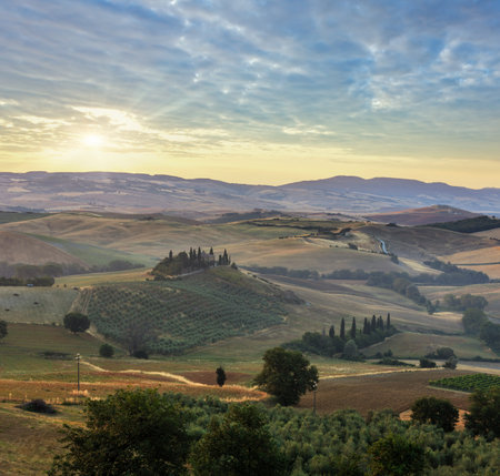 Beautiful landscape of Tuscany summer morning sunrise countryside in Italy. Typical for the region Toscana farm house, hills, wheat field, olives garden, vineyard.の写真素材