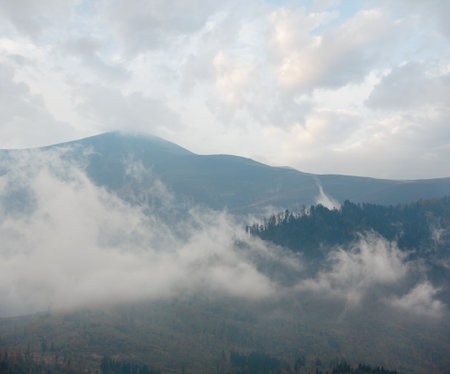 Autumn Carpathian Mountains morning landscape (Mizhhiria, Zakarpattia Oblast, Ukraine).の写真素材