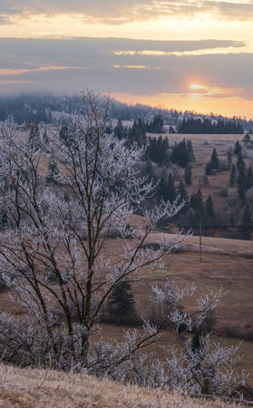 Winter coming. Cloudy and foggy morning very late autumn mountains scene. Peaceful picturesque traveling, seasonal, nature and countryside beauty concept scene. Carpathian Mountains, Ukraine.の写真素材