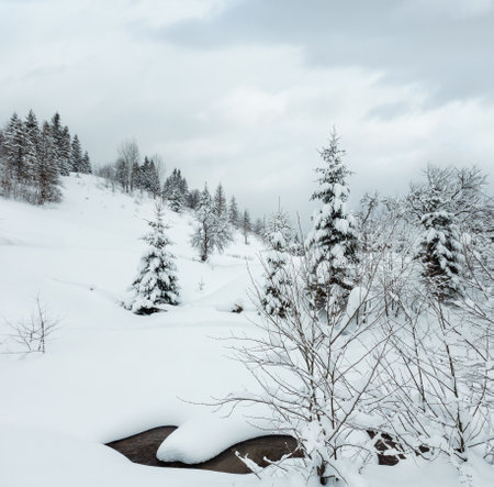 Brook in snowdrift on winter slope of Ukrainian Carpathian Mountains.の写真素材
