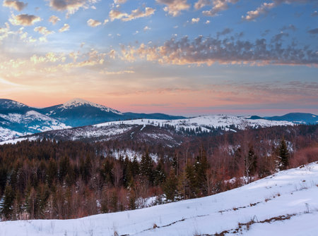 Evening winter cloudy day snow covered alp Gorgany mountain ridge (Ukraine, Carpathians, Homiak and other mounts, scenery view from Yablunytsia pass).の写真素材