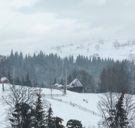Early morning winter mountain village landscape (Jablunytsia village, Carpathian Mountains, Ukraine). Overcast windy weather with some blizzard.の写真素材