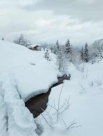 Brook in snowdrifts and wooden house on winter slope of Ukrainian Carpathian Mountains in cloudy weather. Two shots stitch image.の写真素材