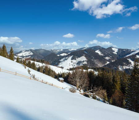 Winter morning picturesque mountain hill top with farmstead snow covered and some withered windbreak trees (Ukraine, Carpathian Mountains, tranquility peaceful Dzembronya village rural outskirts)の写真素材