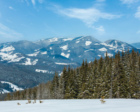 Picturesque winter sunny day Carpathian mountain view from Skupova mountain slope, Ukraine. View to Kostrych mountain ridge and Kostrycha top.の写真素材