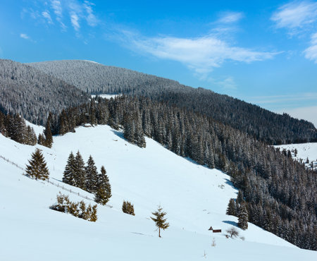 Picturesque snowy winter Skupova mountain slope and lone farmhouse on plateau farmstead, Carpathian, Ukraine, Verkhovyna district.の写真素材