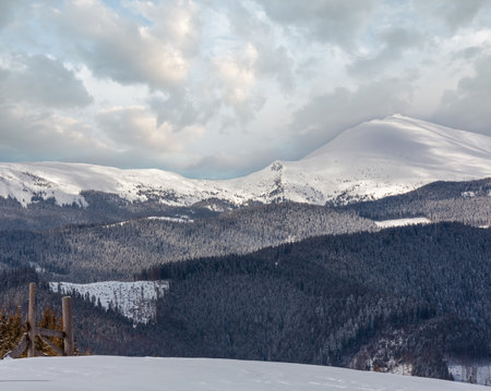 Picturesque winter mountain view from snowdrift Skupova mountain slope, Ukraine, view to Chornohora snow covered ridge and Pip Ivan mountain top with observatory, Carpathian.の写真素材