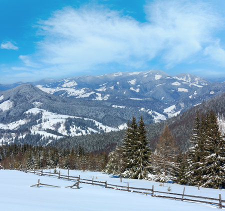 Picturesque winter sunny day Carpathian mountain view from Skupova mountain slope, Ukraine. View to Kostrych mountain ridge and Kostrycha top.の写真素材