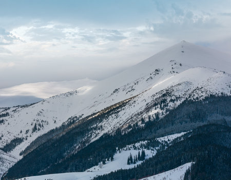 Morning winter snow covered scenery picturesque alp mountain ridge (Ukraine, Carpathian Mountains, Chornohora Range, tranquility peaceful view from Dzembronya village outskirts hills).の写真素材