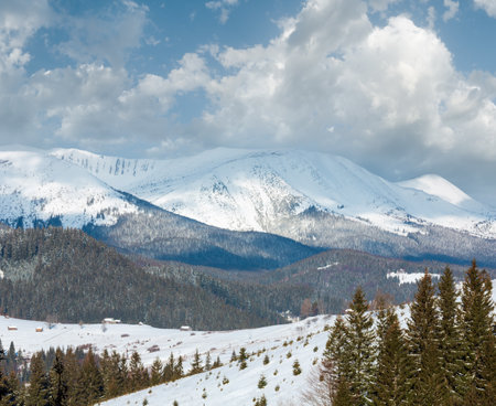 Morning winter snow covered scenery picturesque alp mountain ridge (Ukraine, Carpathian Mountains, Chornohora Range, tranquility peaceful view from Dzembronya village outskirts hills).の写真素材
