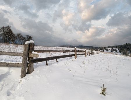 Winter remote alpine mountain village outskirts, countryside hills, groves and farmlands.の写真素材