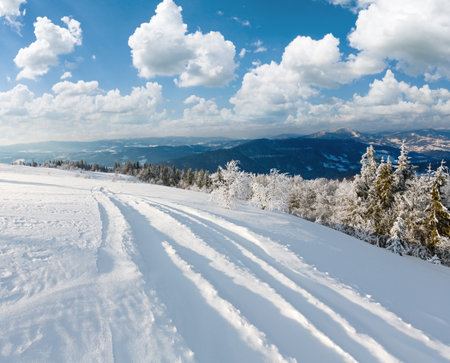 Morning winter calm mountain landscape with beautiful frosting trees and ski track through snowdrifts on mountain slope (Carpathian Mountains, Ukraine)の写真素材