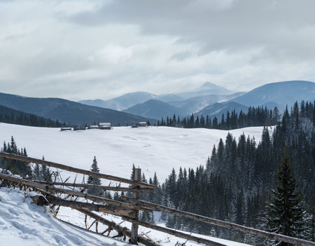 Winter remote alpine mountain village outskirts, countryside hills, groves and farmlands.の写真素材