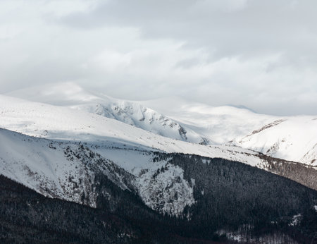 Morning winter snow covered scenery picturesque alp mountain ridge (Ukraine, Carpathian Mountains, Chornohora Range, tranquility peaceful view from Dzembronya village outskirts hills).の写真素材
