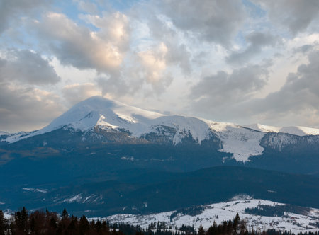 Evening twilight winter cloudy day snow covered alp mountain ridge (Ukraine, Carpathian Mountains, Chornohora Range - Petros and other mounts, scenery view from Yablunytsia pass).の写真素材